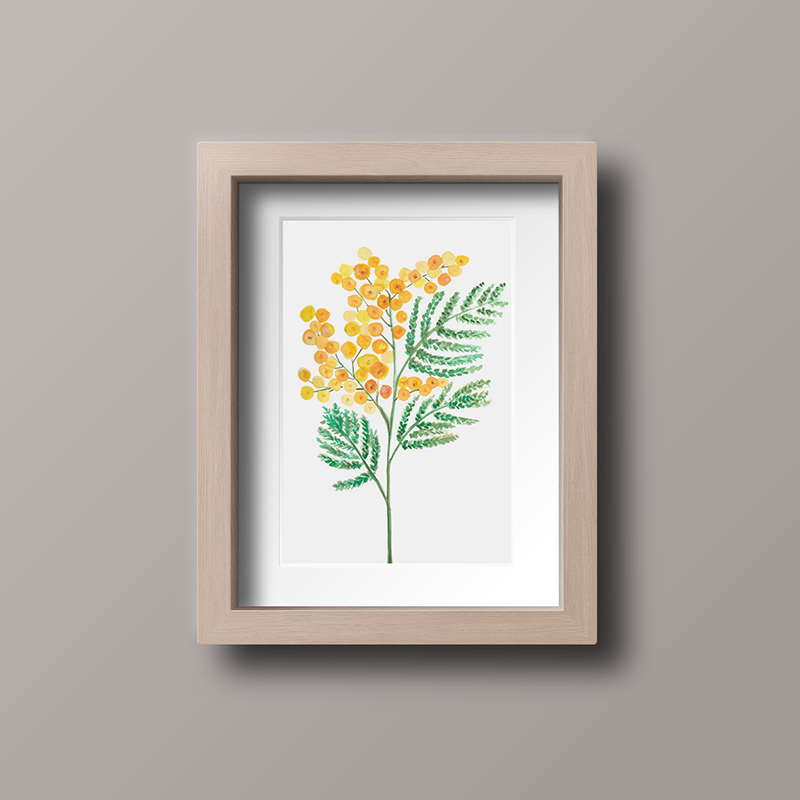 lámina decorativa mimosas